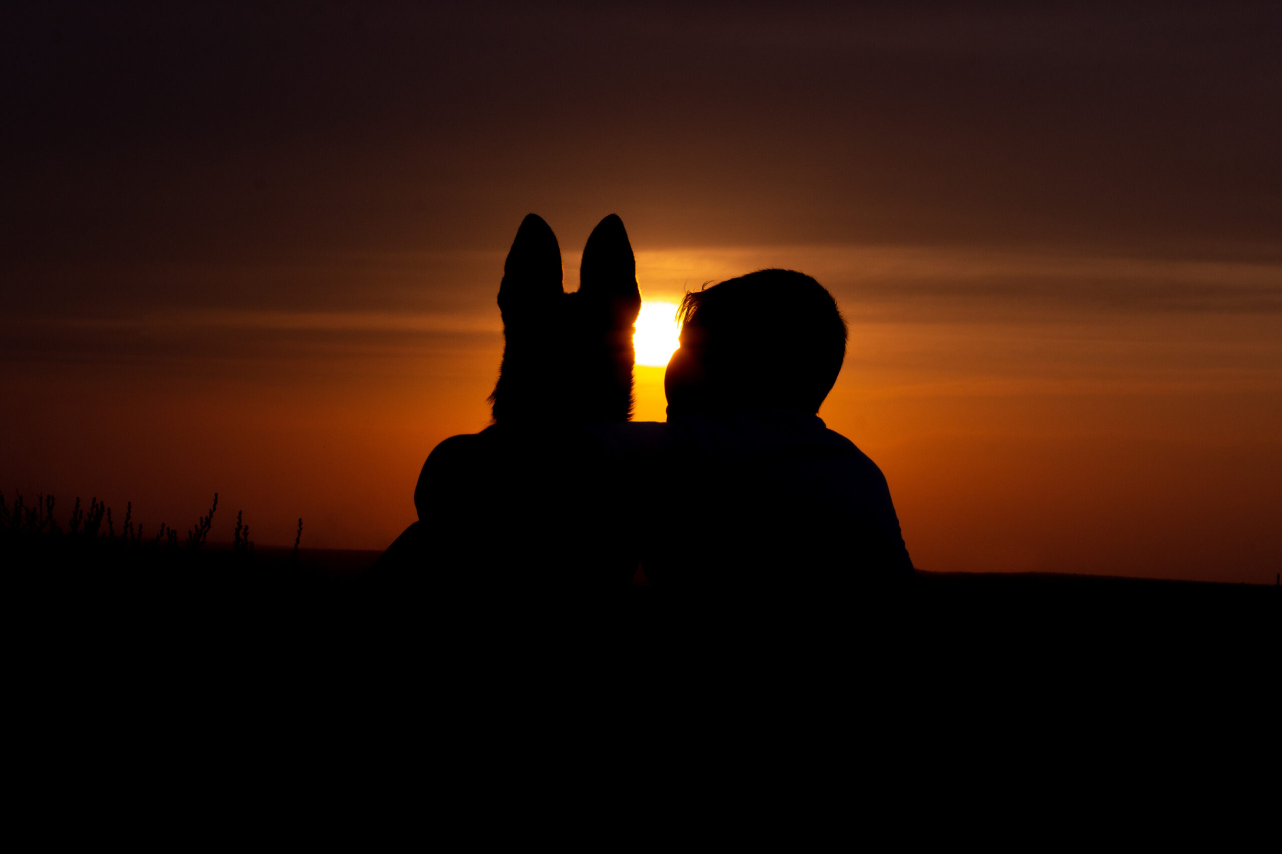 Sunstone Veterinary Specialists
