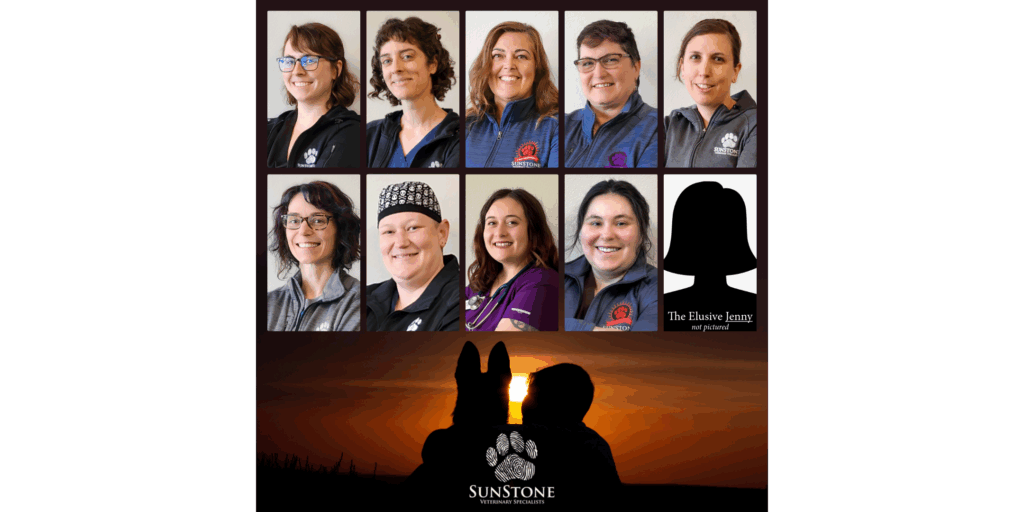 Sunstone's certified veterinary technicians
